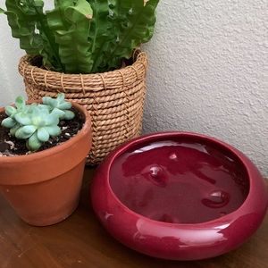 Vintage ceramic succulent planter pot